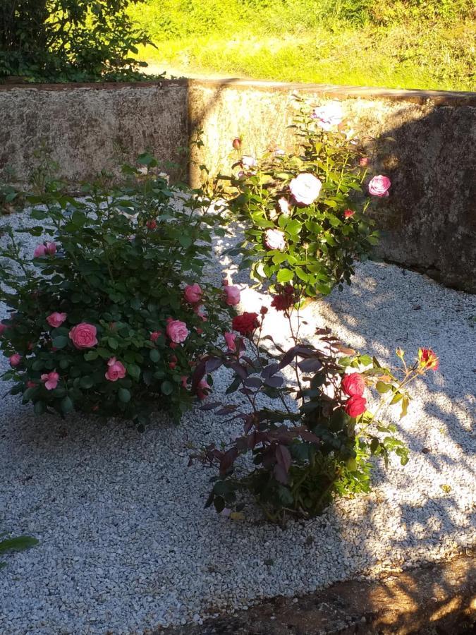 Maison Belvoir Le Fraysse Buitenkant foto